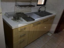 Tanglin View (D3), Condominium #503188291